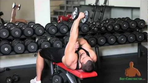 Bench Dumbell Triceps Extensions