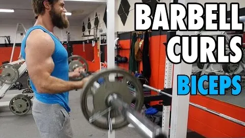 Barbell Biceps Curl