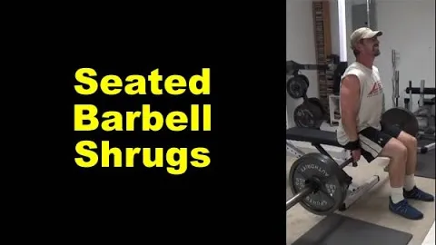Seated Barbell Shrug